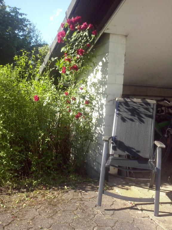 Ferienwohnung Daehne Allagen Екстериор снимка